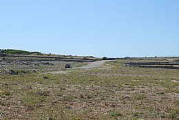 Isola di Pag Vlasici